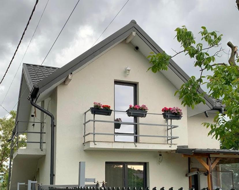 Anastasia'S Villa Iasi Eksteriør bilde